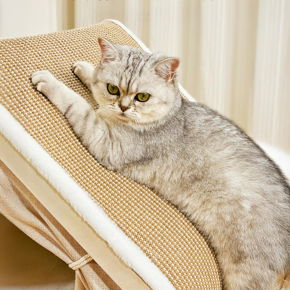 All-in-One Cat Tent with Scratching Roof and Cozy Sleeping Area - Image 6